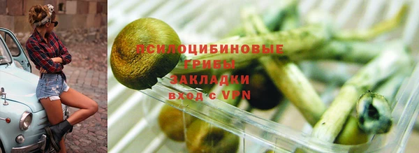 прущие грибы Михайловск