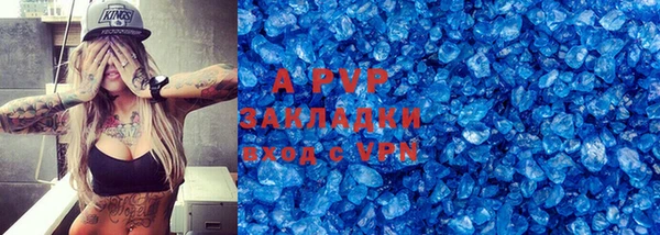 гидра Надым