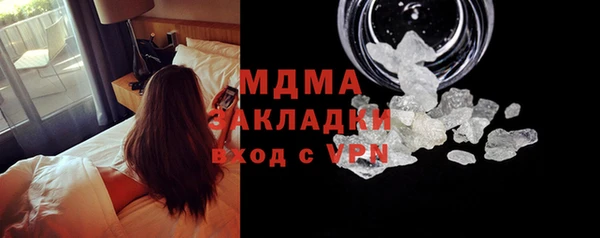прущие грибы Михайловск