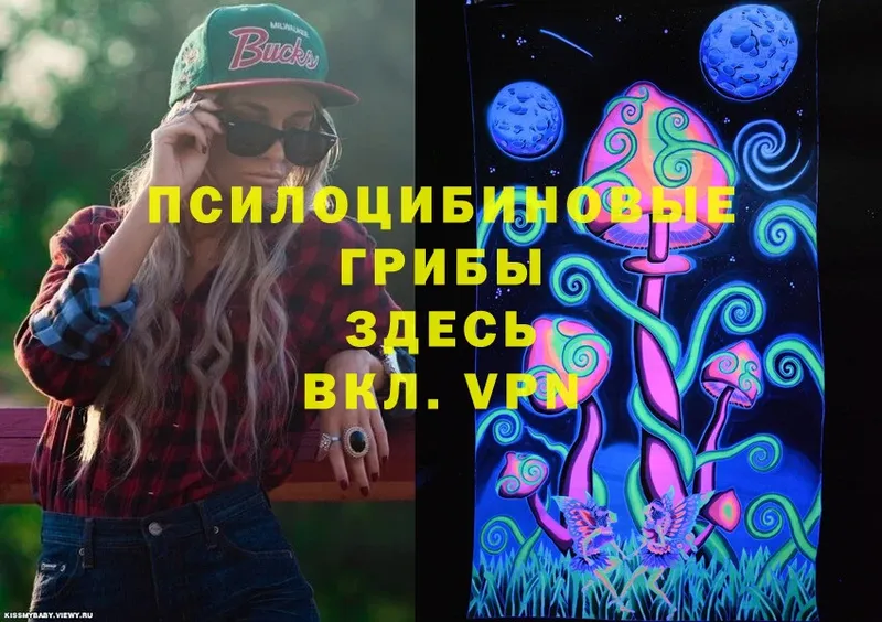 Галлюциногенные грибы Cubensis  Неман 